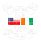 Discover Vintage Ireland American Flag Irish Roots USA My S