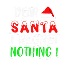 Discover Dear Santa I Regret Nothing, Funny Matching Family