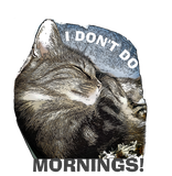 Discover I DON'T DO MORNINGS -FUNNY CAT