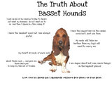 Discover Basset hound T