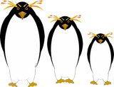 Discover Penguins Three
