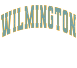 Discover Wilmington Delaware Vintage College Style Sweat