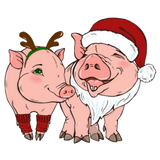 Discover ugly christmas pig