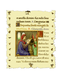 Discover Book of Hours Medieval Manuscript