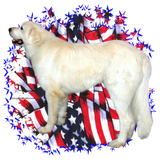 Discover Great Pyrenees Patriot