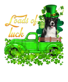 Discover Loads Of Luck Truck Border Collie St Patrick's Day
