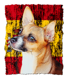 Discover Patriotic Chihuahua Spain Flag - Distressed Flag P
