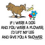 Discover Funny Dog Poem Light