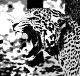 Discover Roaring Jaguar