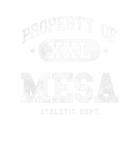 Discover Mesa Property XXL Sport College Athletic Funny