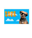 Discover 8-Bit Game Over Border Terrier