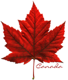 Discover Women's Canada  Souvenir Maple Leaf