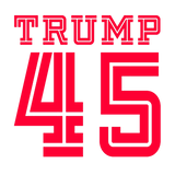 Discover Trump 45 Black