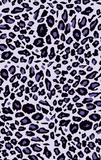 Discover Purple leopard print
