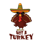 Discover Thanksgiving Not A Turkey Mexican Sombrero Costume