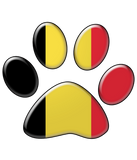 Discover Belgian patriotic cat