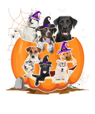 Discover Funny Dogs Witch Inside Carving Pumpkin Halloween