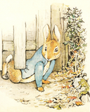 Discover Beatrix Potter Rabbit