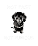 Discover Not Fast Not Furious Funny Dog Apparel