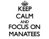 Discover Keep calm and focus on Manatees
