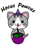 Discover Hocus Pawcus - Gray Tabby Cat - Black Writing