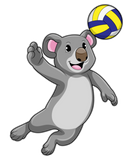 Discover Koala as Volleyball player with Volleyball