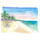 Discover Very Lonely Caribbean Playa Palancar Cozumel
