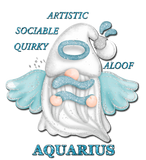 Discover Cute Aquarius Gnome Zodiac Sign