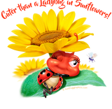 Discover Sleepy Ladybug Sunflowers