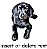 Discover Kid's hooded  black lab puppy