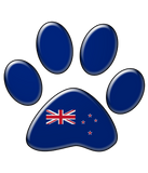 Discover New Zealander patriotic cat