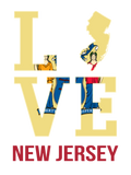 Discover New Jersey state flag USA