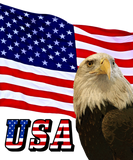 Discover American Bald Eagle, Flag, USA Flag - ZKOA