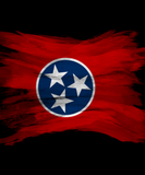 Discover Tennessee state flag brush stroke