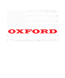 Discover Nebraska American Flag Oxford USA Patriotic Souven