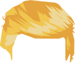 Discover Custom Trump Hair - Liars Gonna Lie