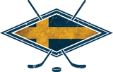 Discover Svensk Ishockey  with Name & Number