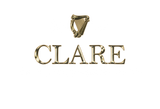 Discover Clare Ireland & Irish Harp *Add your Text* Polo