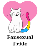 Discover Pansexual Pride Cat