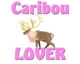 Discover Caribou Lover