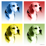 Discover Beagle Pop Art