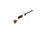 Discover Liz