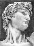Discover Head of David by Michelangelo Work