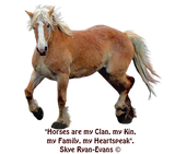 Discover Palomino Belgian Draft Horse & Horses are my Clan