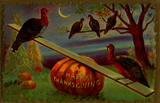 Discover Turkeys Seesaw on Pumpkin Vintage Thanksgiving