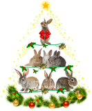 Discover Bunny Gift | Bunny Rabbit Christmas Tree Light