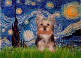 Discover Yorkshire Terrier Puppy - Starry Night