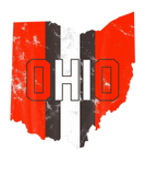 Discover Vintage State Of Ohio Pride Striped Flag