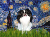 Discover Starry Night - Japanese Chin 3