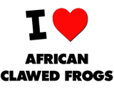 Discover I Love African Clawed Frogs